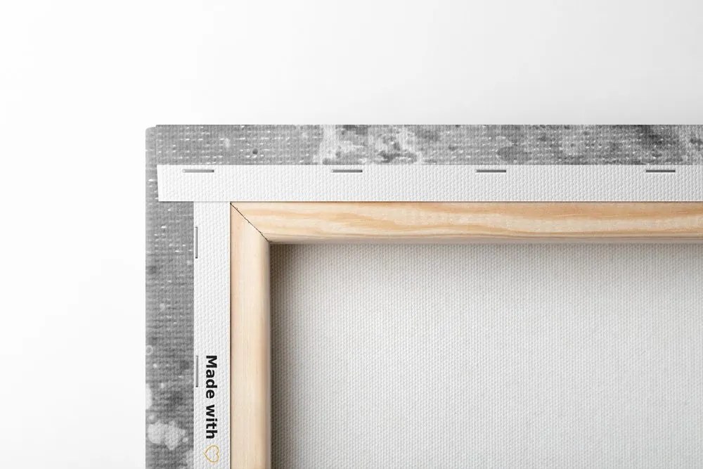 Tablou bujorii pictate în design modern alb-negru
