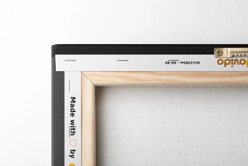 Tablou doamnă nobilă în pălărie în design alb-negru