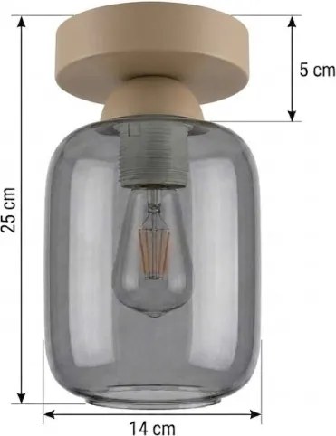 BRILAGI - Plafonieră LED R GLASS 1xE27/60W/230V Ø 14 cm bej/gri fumuriu