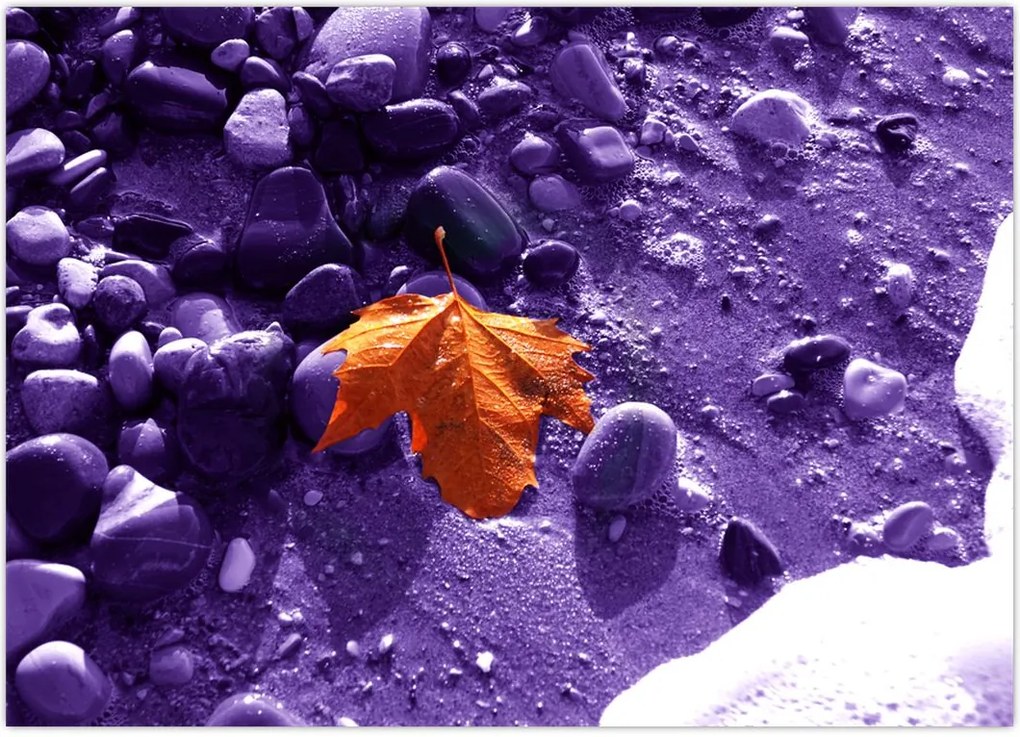 Tablou - Plaja mării (70x50 cm)