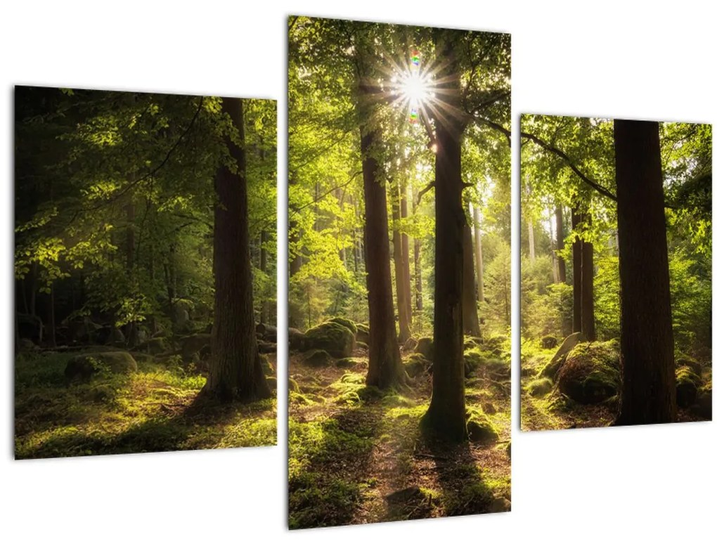 Tablou - Pădurea de vis (90x60 cm)