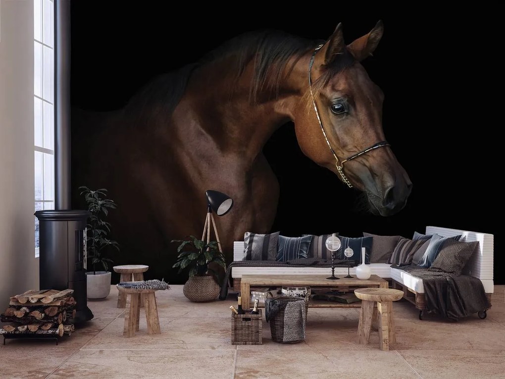 Fototapet - Calul maro pe fundal negru (152,5x104 cm)