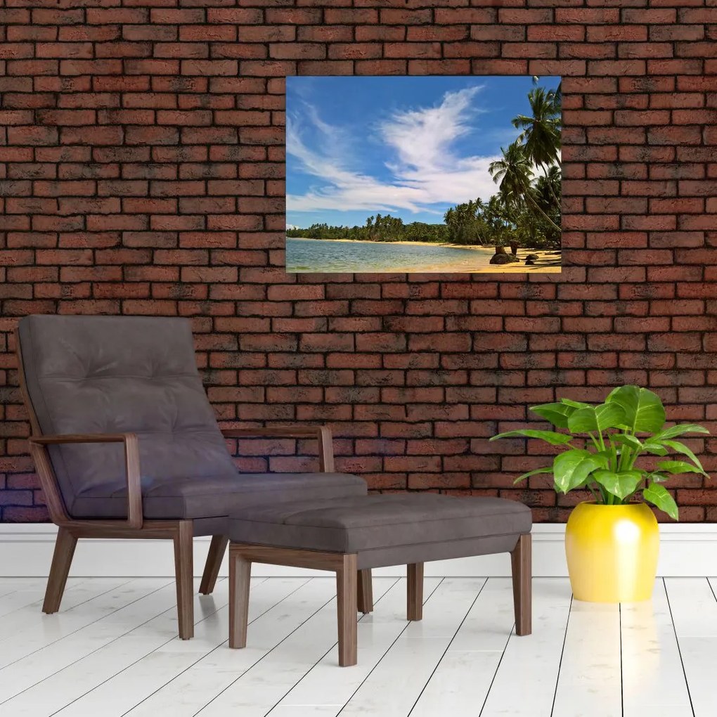 Tablou cu plajă (70x50 cm)