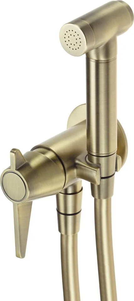 TEMISTO Baterie pentru bideu, îngropat, cu duș de mână tip bidetta BQT_M34M Finisaj: alamă