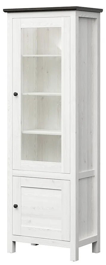 Vitrină Hesen REG1W1D/20/7 (cu iluminat LED) (zadă sibiu deschis + Pin larico). 1062516