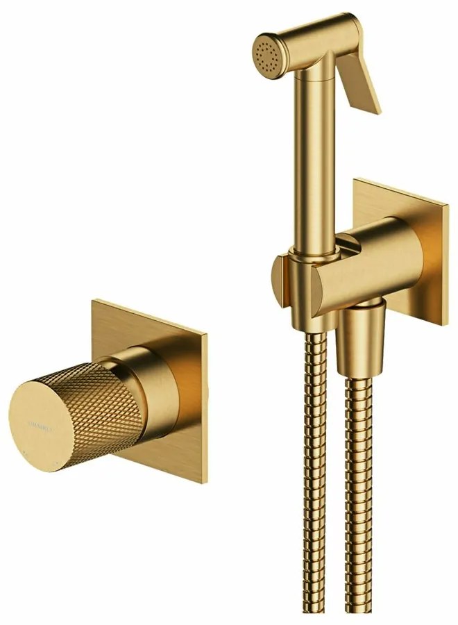 Dus igienic pentru montaj ascuns Omnires Contour auriu periat