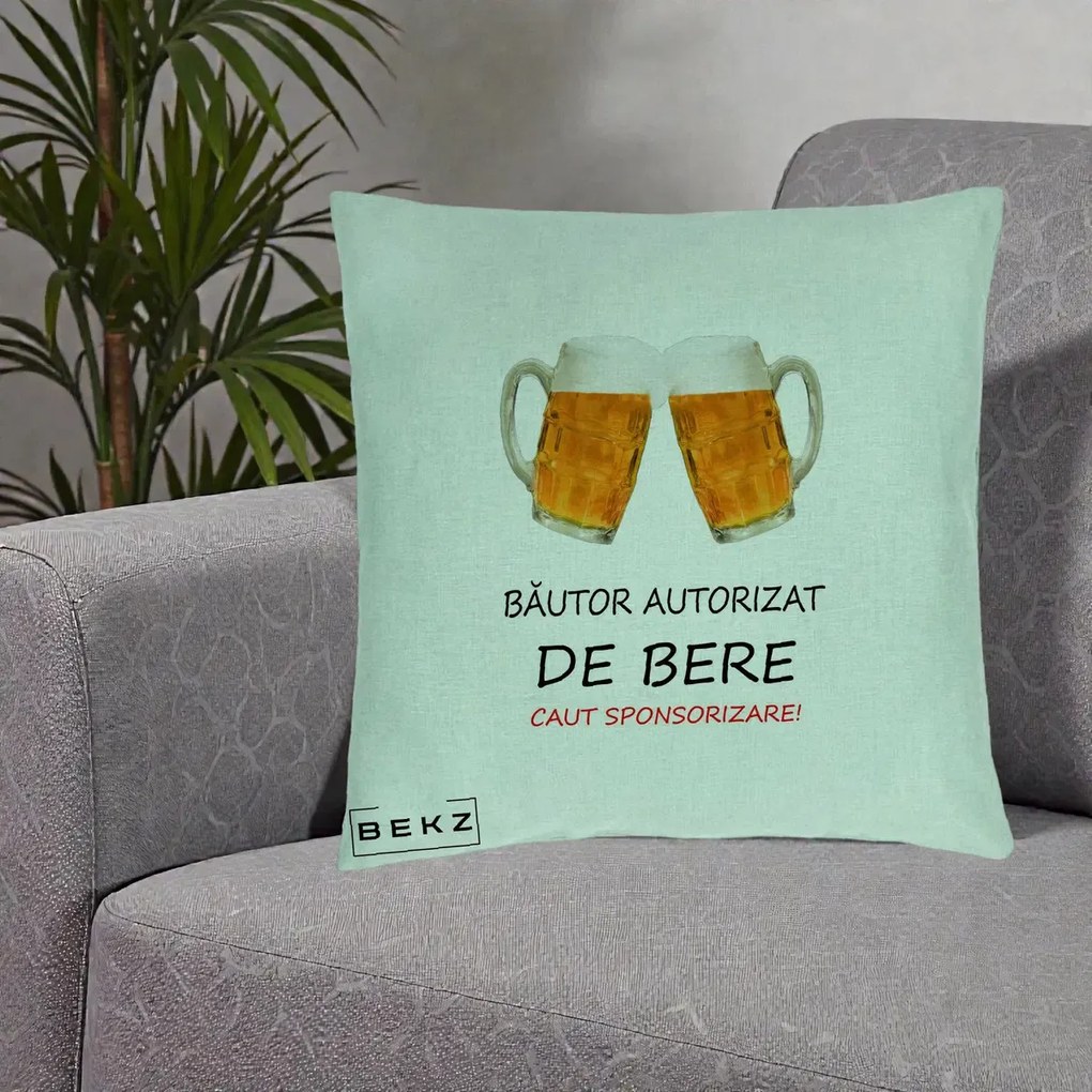 Perna Decorativa Bautor Autorizat de Bere, 40x40 cm, Verde Menta, Husa Detasabila, Perna Inclusa, BEKZ®