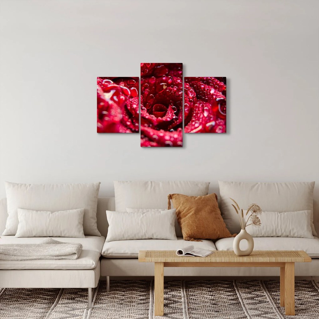 Tablou cu floarea trandafirului roșu (90x60 cm)