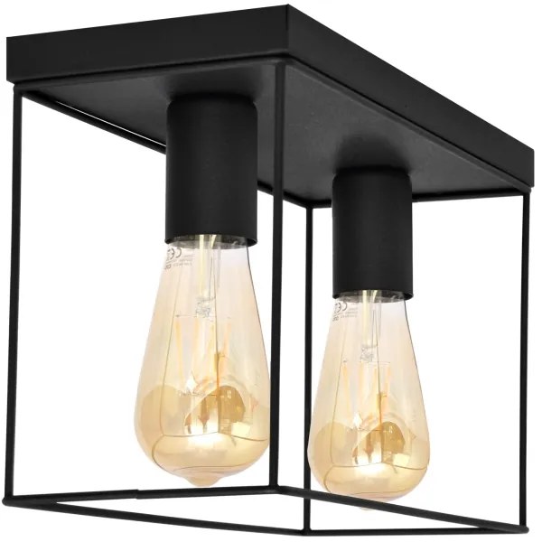 Plafonieră FINN 2xE27/15W/230V negru