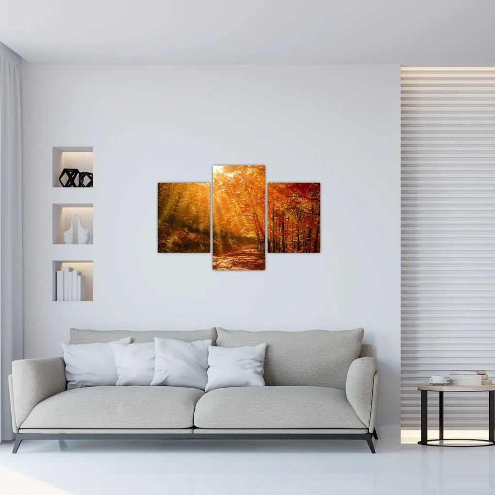 Tablou cu pădurea în toamnă (90x60 cm)