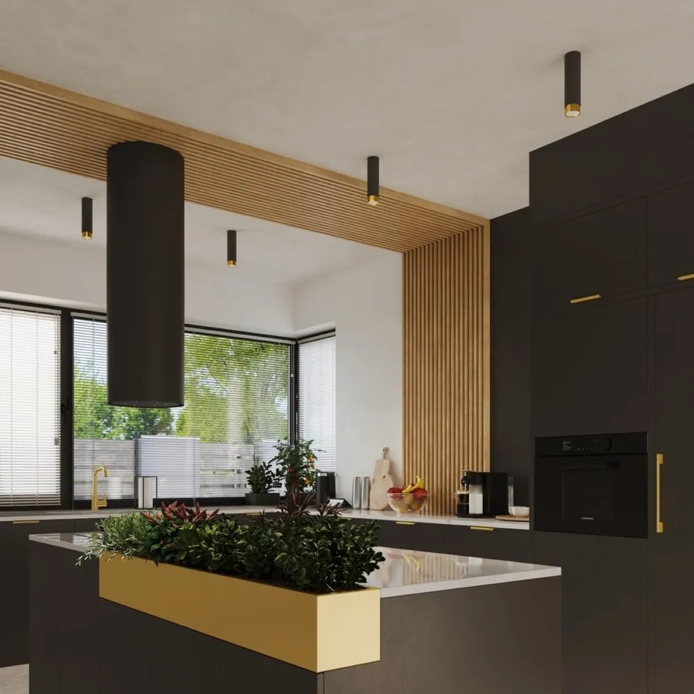 Plafonieră neagră/aurie Crown – Sollux