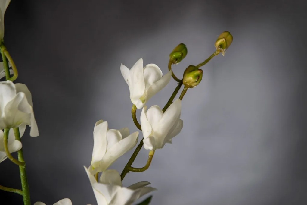 Aranjament floral elegant, design LUX ETERNITY ALFEO CYMBIDIUM