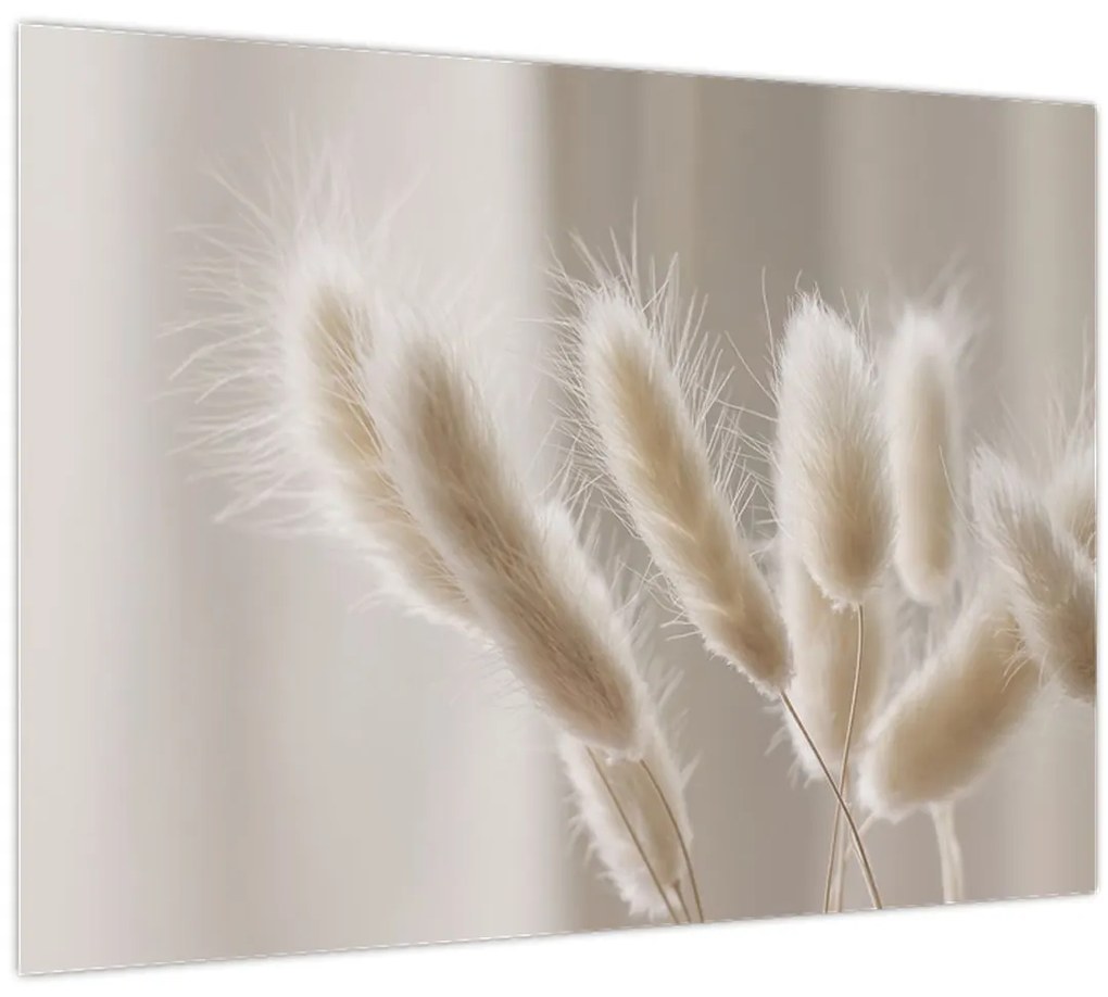 Tablou - Cozi de iepure (70x50 cm)