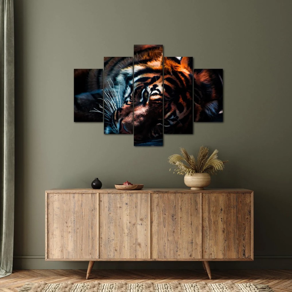 Tablou cu tigrul dormind (150x105 cm)