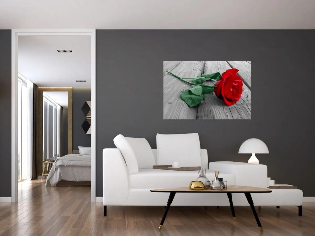 Tablou - Trandafir roșu cu tulpină verde (90x60 cm)