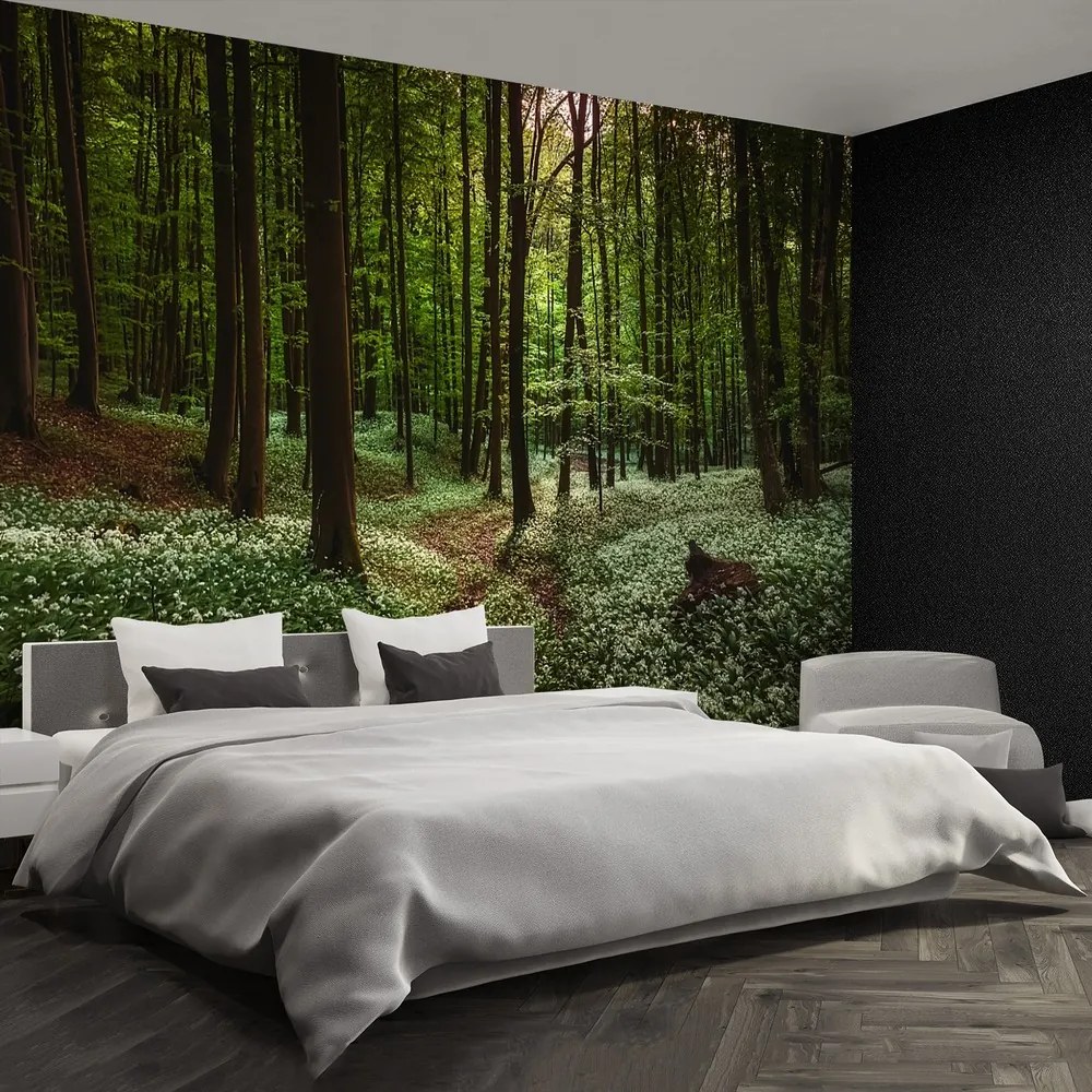 Fototapet Spring Forest