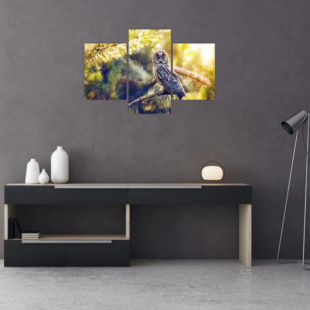 Tablou - Bufniță în copac (90x60 cm)
