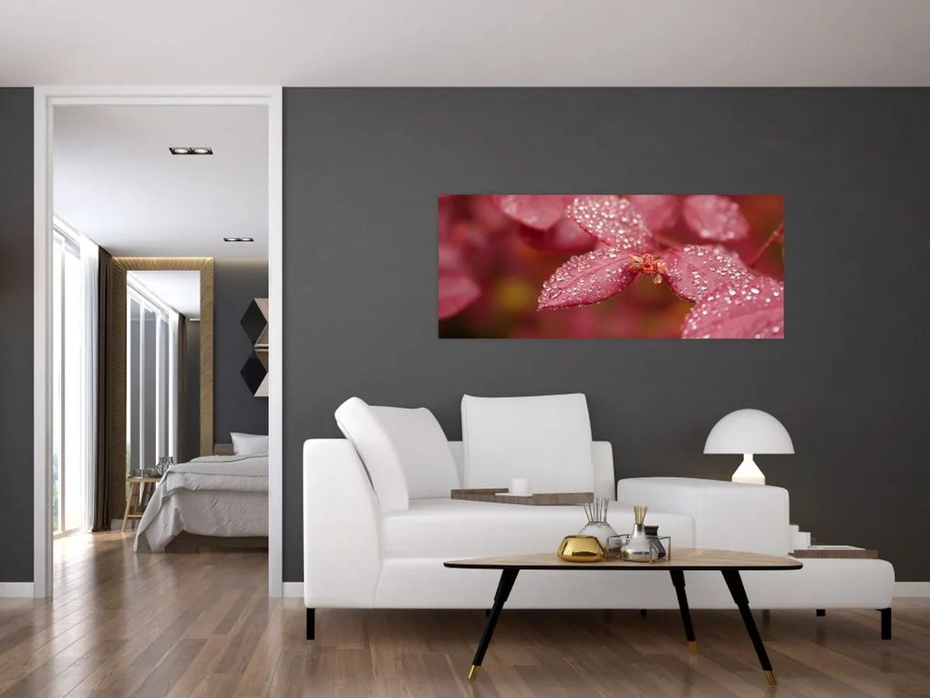 Tablou - Imagine macro a biletului (120x50 cm)