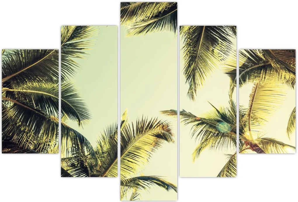 Tablou - Palmieri de cocos (150x105 cm)