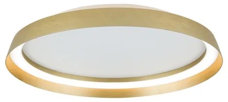 Orion DL 7-699/45 LED MANTA 38W 230V 2700-4000K pr. 45 cm iluminat ambiental