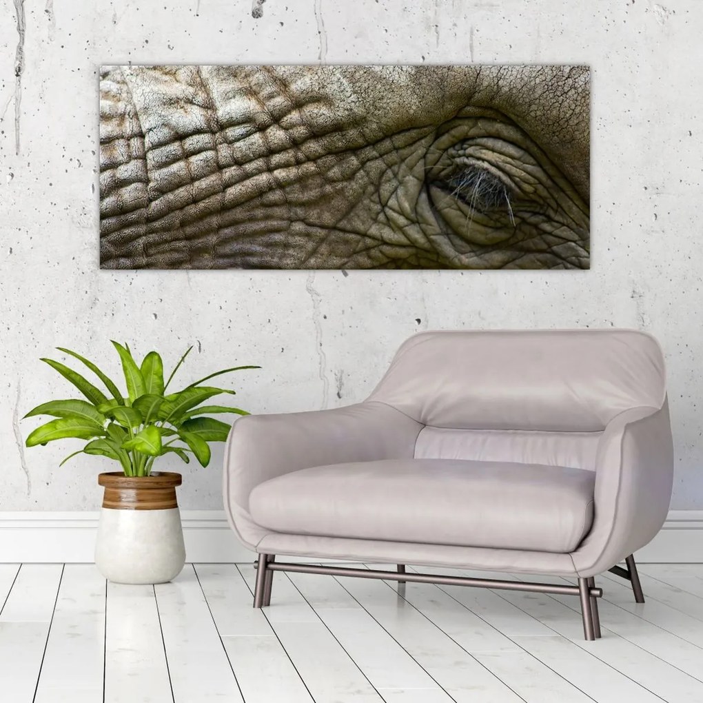 Tablou - Prim-planul ochiului de elefant vechi (120x50 cm)