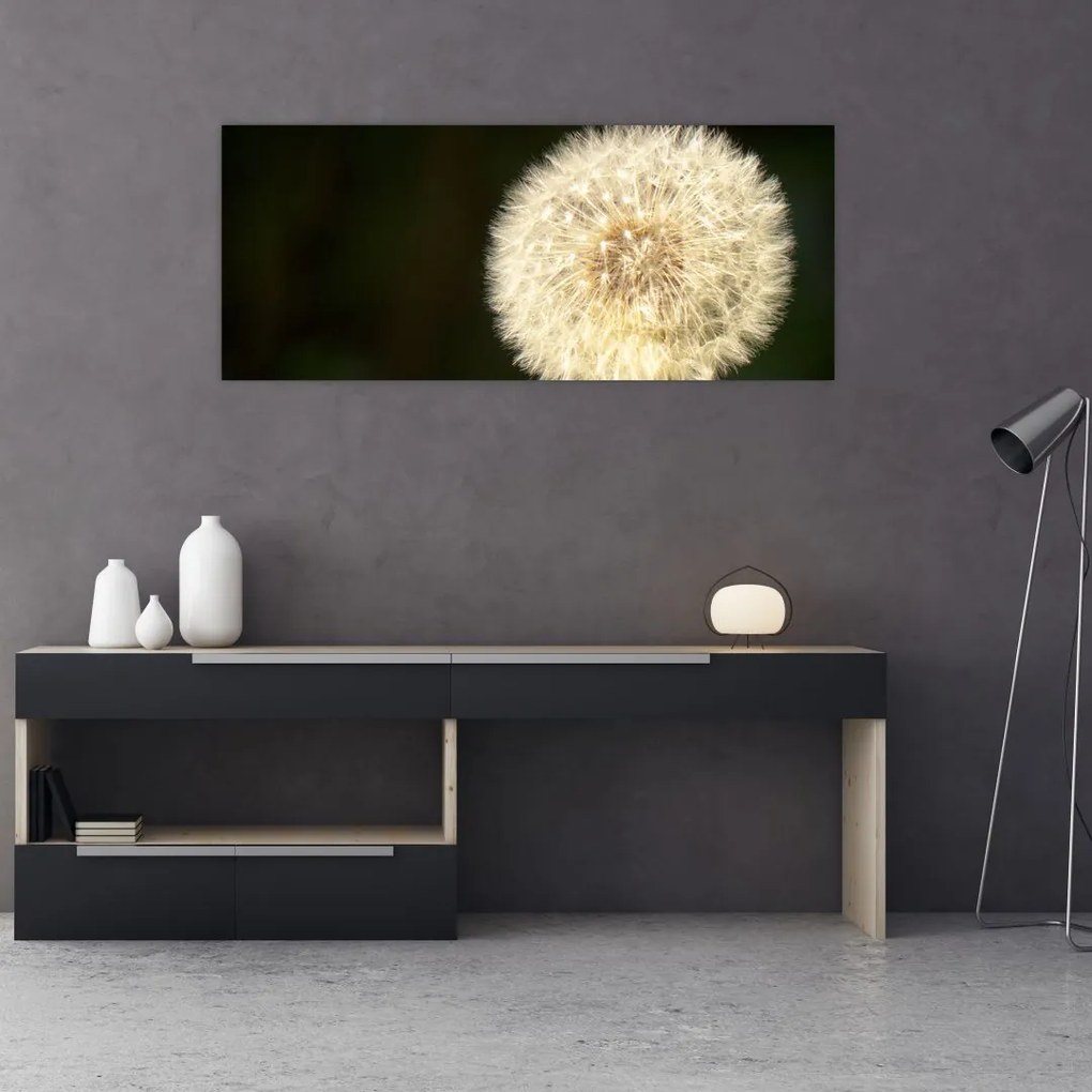 Tablou cu păpădie gri (120x50 cm)