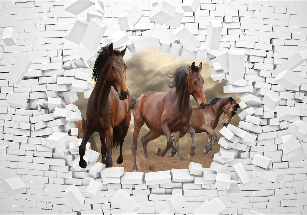 Fototapet - 3D cai în perete (152,5x104 cm)