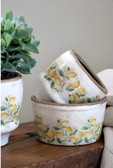 Ghiveci Limone Blossom cu lămâi și flori