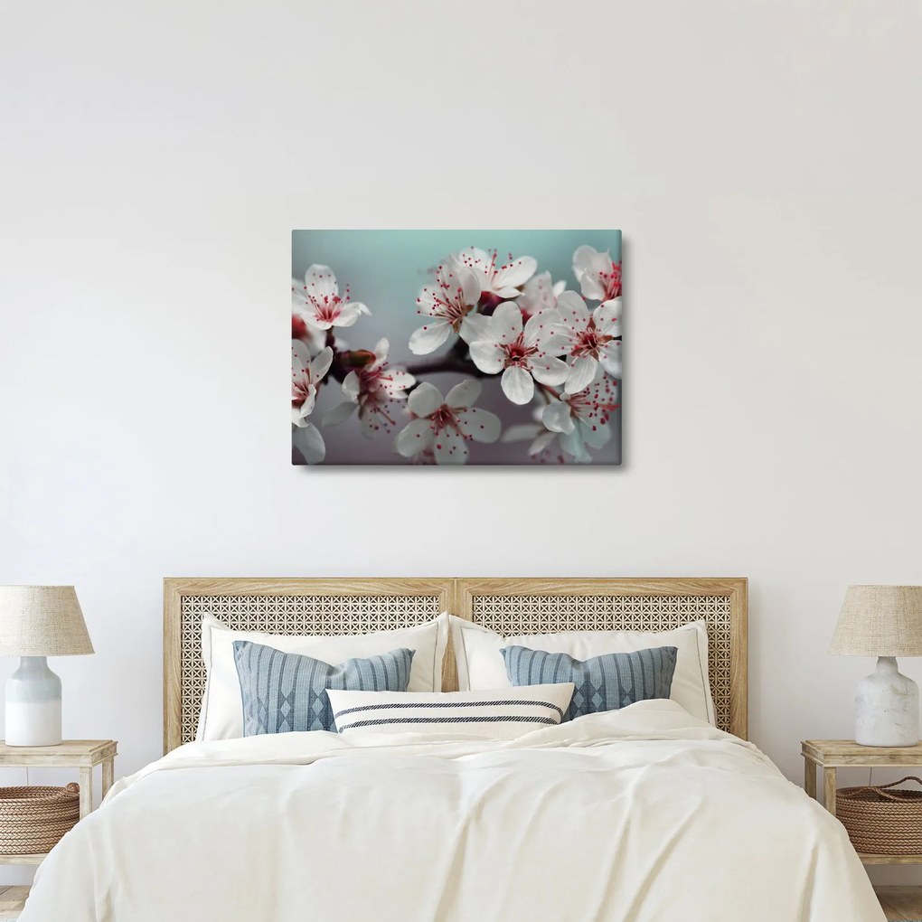 Tablou cu floare - roșie (70x50 cm)