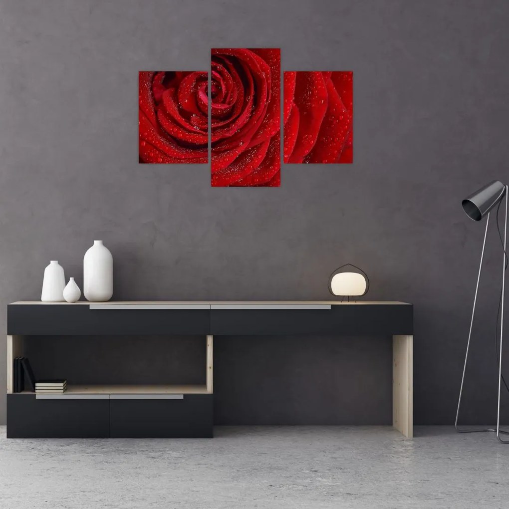 Tablou - detaliu de trandafir (90x60 cm)