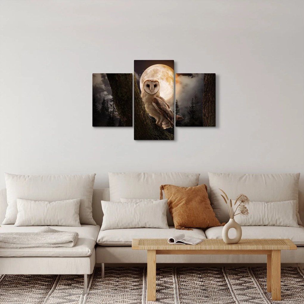 Tablou cu bufnița (90x60 cm)