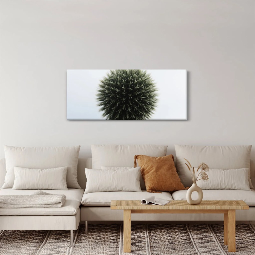 Tablou - Sfere de flori (120x50 cm)