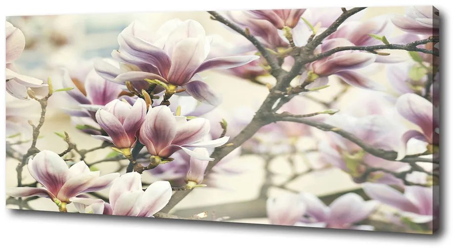 Tablou canvas Magnolie
