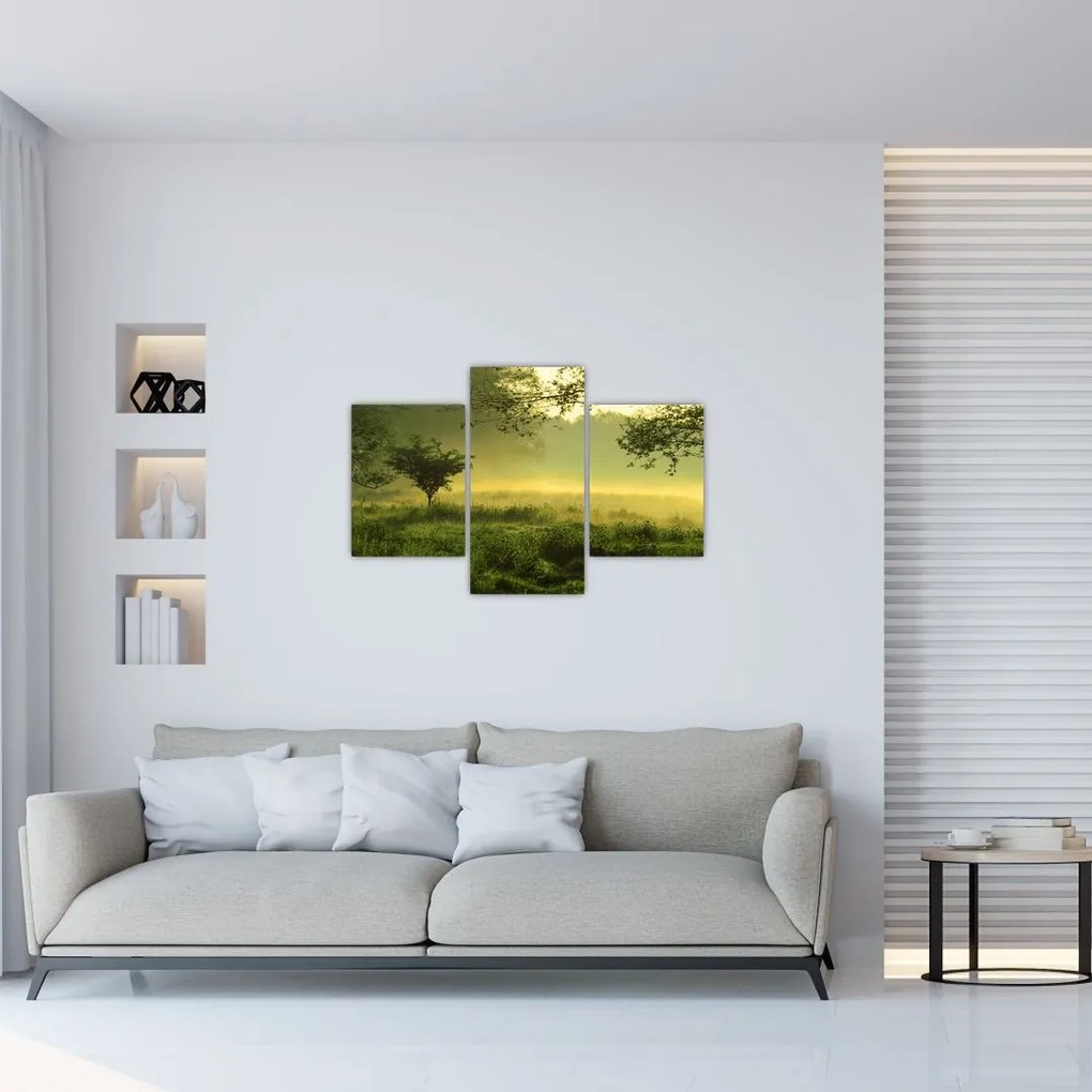 Tablou - Pădurea trezită (90x60 cm)