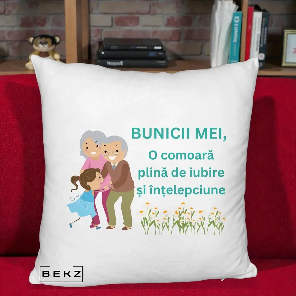 Cadou pentru Bunici - Perna Personalizata Bunicii Mei Comoara Iubire Intelepciune Nepoata, 40x40 cm, Alb Pufos, Husa Detasabila, Perna Inclusa, BEKZ®