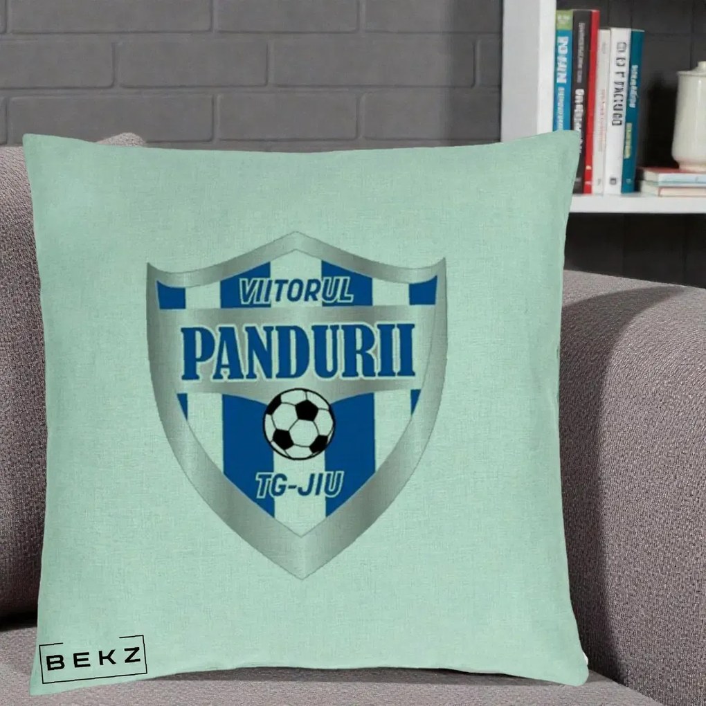 Perna Personalizata Pandurii Targu Jiu Fotbal, 40x40 cm, Verde Menta, Husa Detasabila, Perna Inclusa, BEKZ®