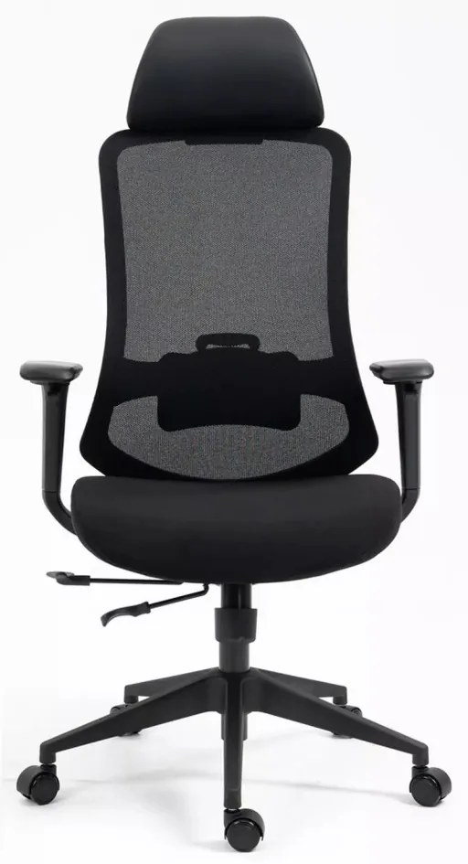 Scaun de birou Ergon negru