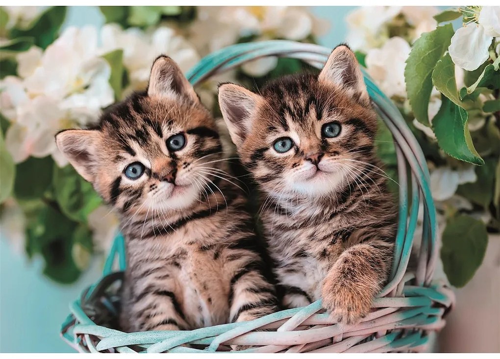 Pisică Lovely Twins Puzzle Clementoni de 60 de piese