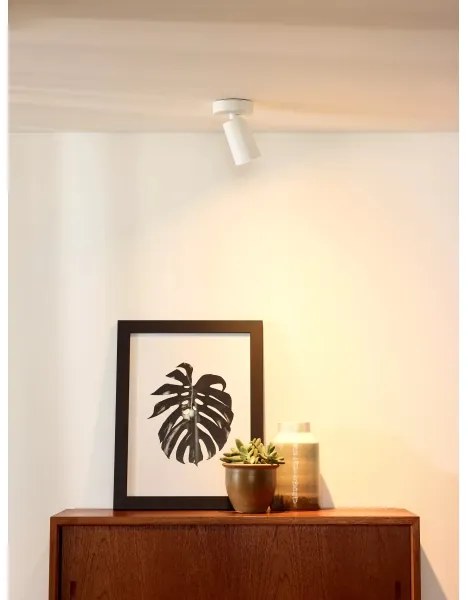 Spot LED dimabil XYRUS 1xGU10/5W/230V CRI 95 Lucide 23954/06/31