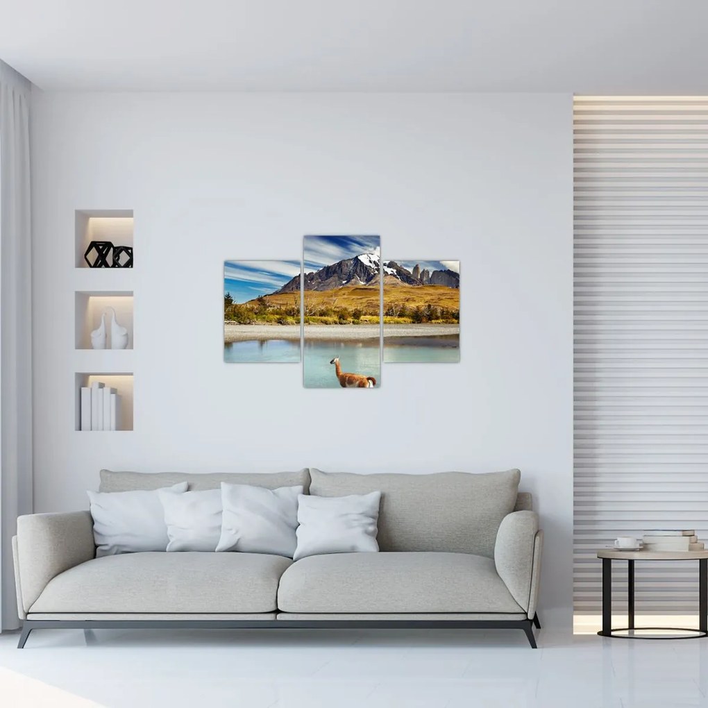 Tablou - Parcul Național Torres del Paine (90x60 cm)