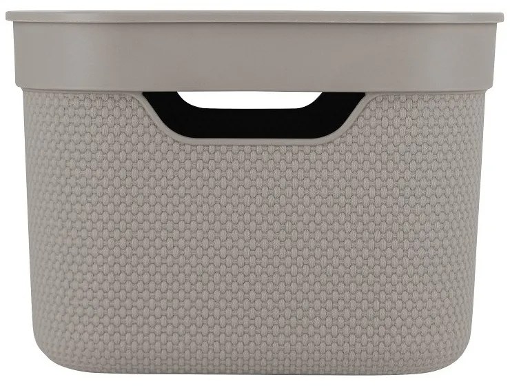 Cutie de depozitare din plastic cu capac Deco - Rotho