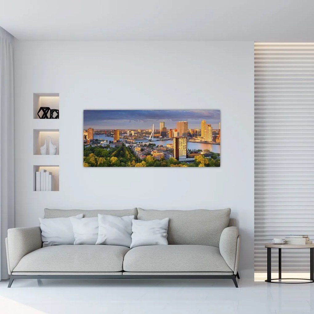 Tablou - Panorama Rotterdamului, Țările de Jos (120x50 cm)