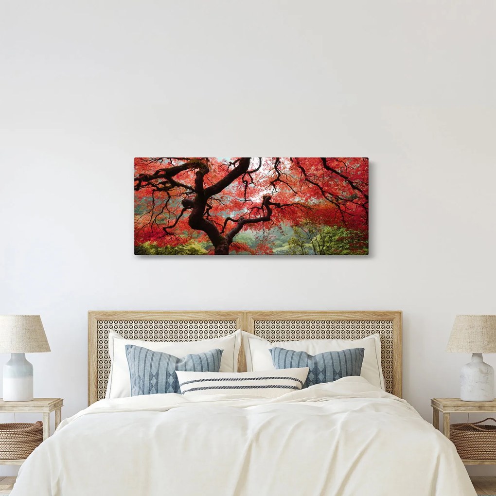 Tablou - Arțarul japonez roșu, Portland, Oregon (120x50 cm)