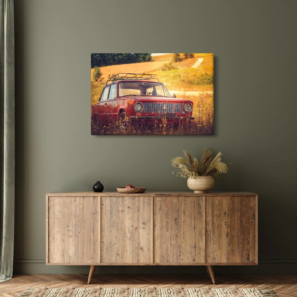 Tablou cu mașină în câmp (90x60 cm)