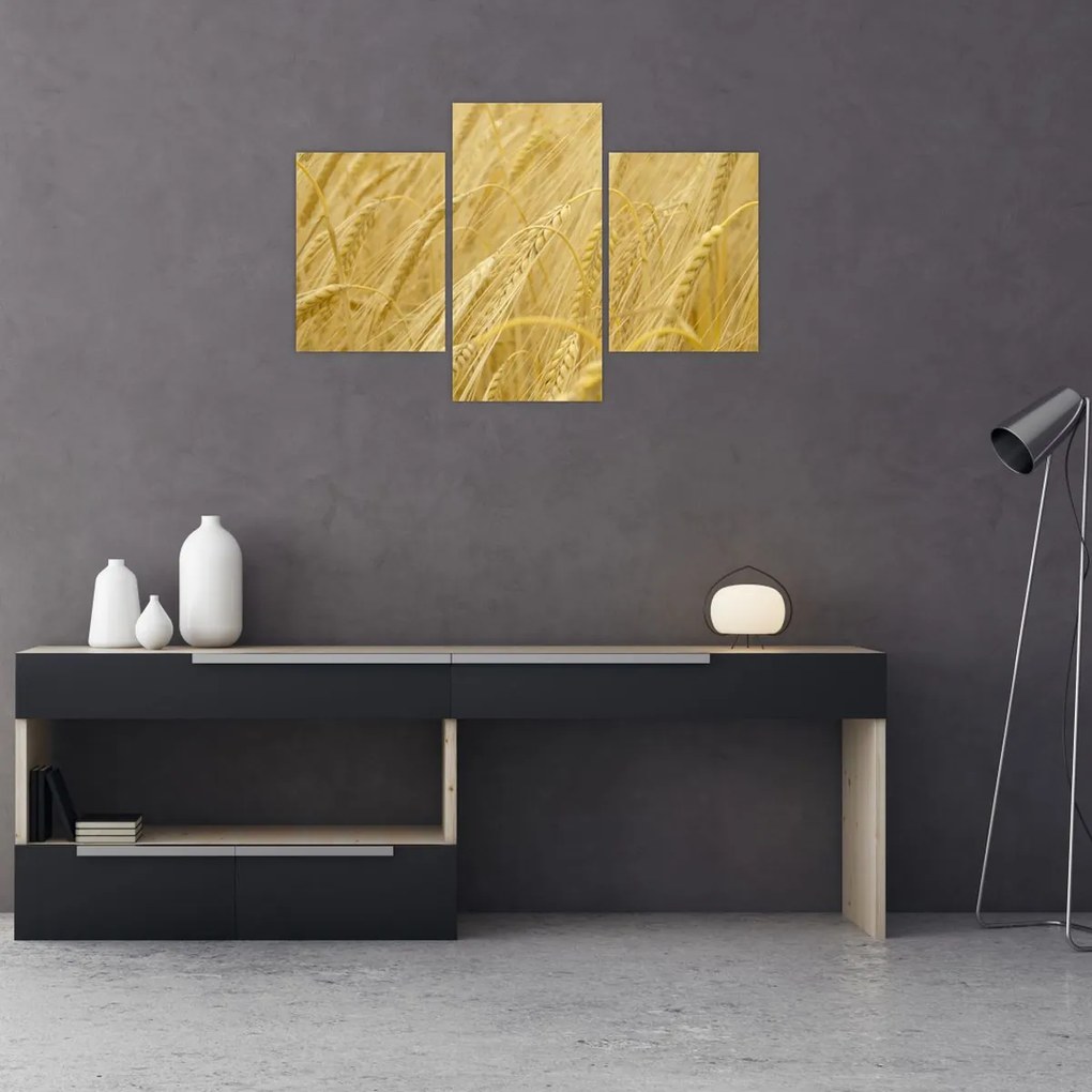 Tablou - Orz (90x60 cm)