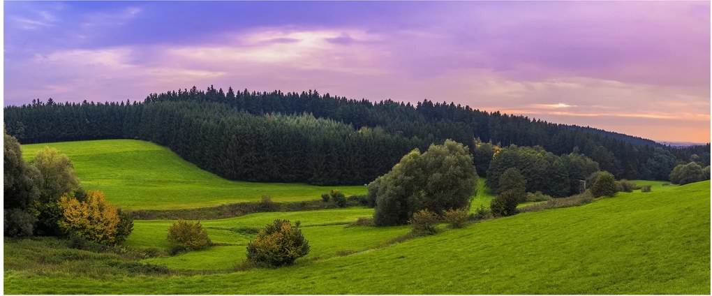 Tablou cu lunca (120x50 cm)