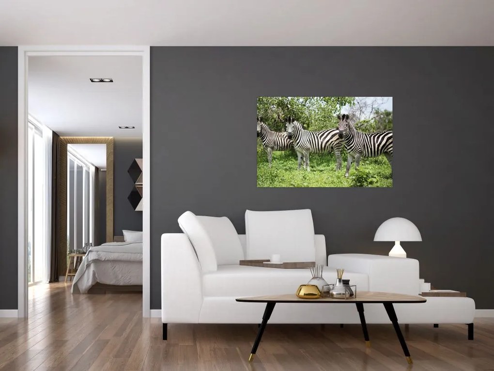 Tablou cu zebre (90x60 cm)