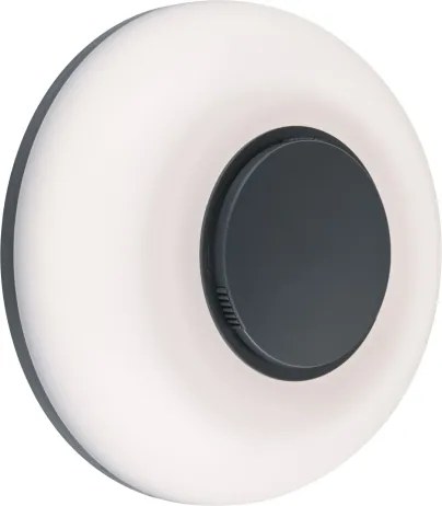 Paulmann 94955 - Aplică de perete pentru exterior LED/20,5W IP65, reglabilă AUREVA 230V