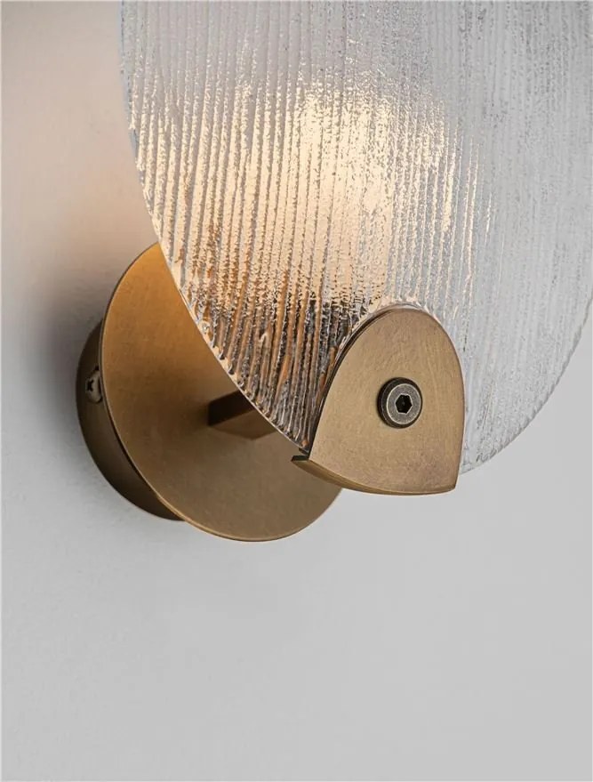 Aplica de perete LED design decorativ SHELINA