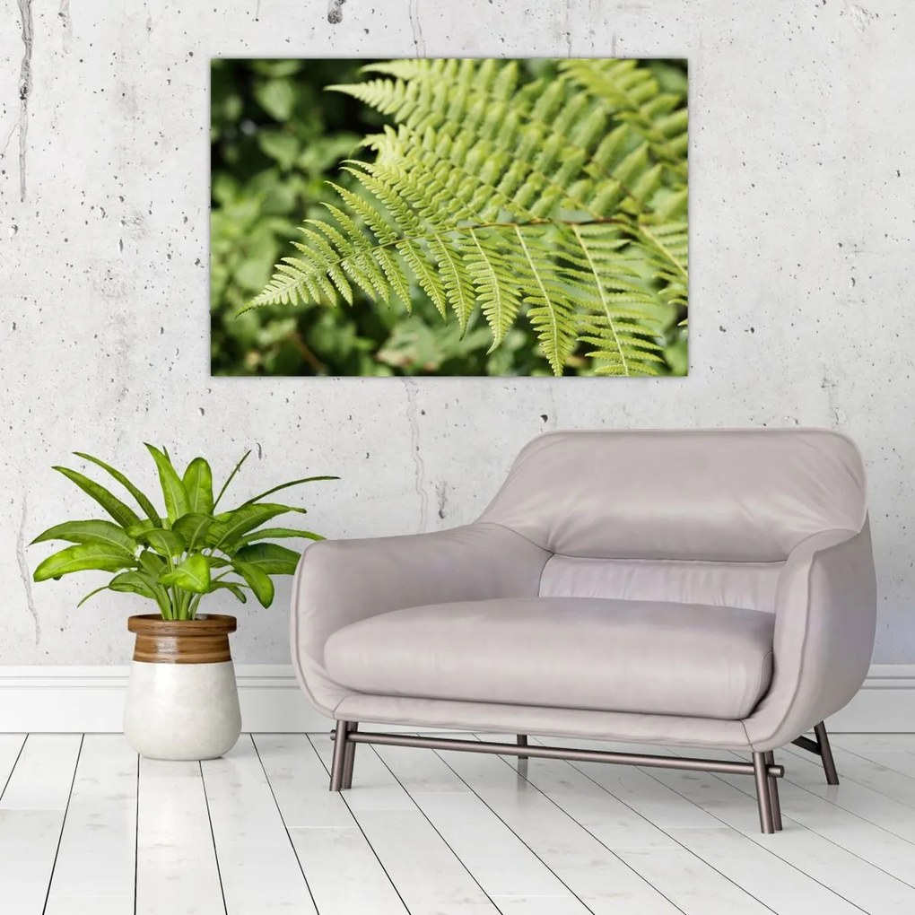 Tablou - Frunză de ferigă (90x60 cm)